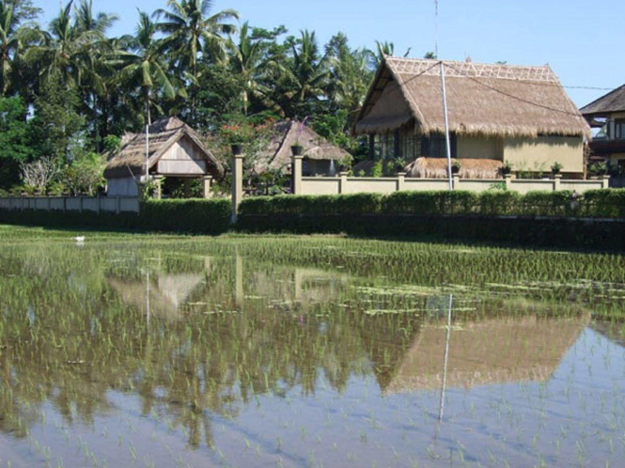 Hotel Puri Lotus Ubud Exteriér fotografie