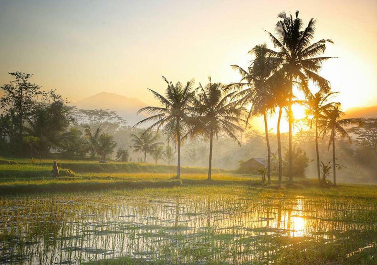 Hotel Puri Lotus Ubud Exteriér fotografie